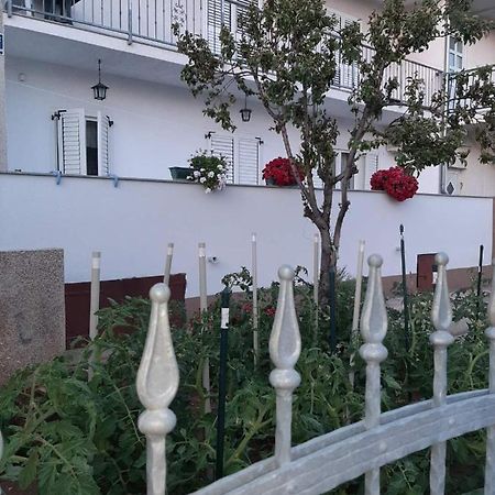 Apartment Bracic ヴォディツェ エクステリア 写真